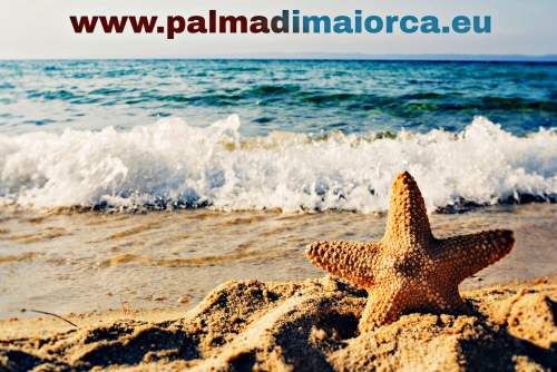 Spiagge Palma di Maiorca. Isole Baleari. Palma de Mallorca spiagge isole Baleari